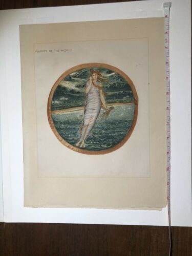 Rare 1905 Colotype From “The Flower Book” | Burne-Jones | Pre-Raphaelite Art